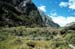 41-Milford-Track-177