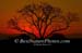 11-Sunset-040812-346