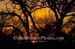 38-Sunset-040812-342