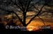 51-Sunset-040814-6