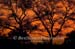 58-Sunset-040813-812a